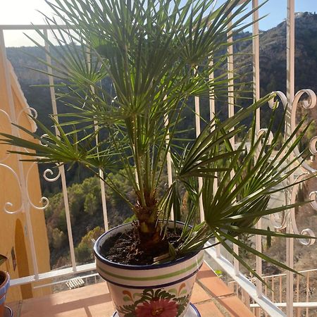 Apartman Marcella, Cumbre Del Sol Exteriér fotografie