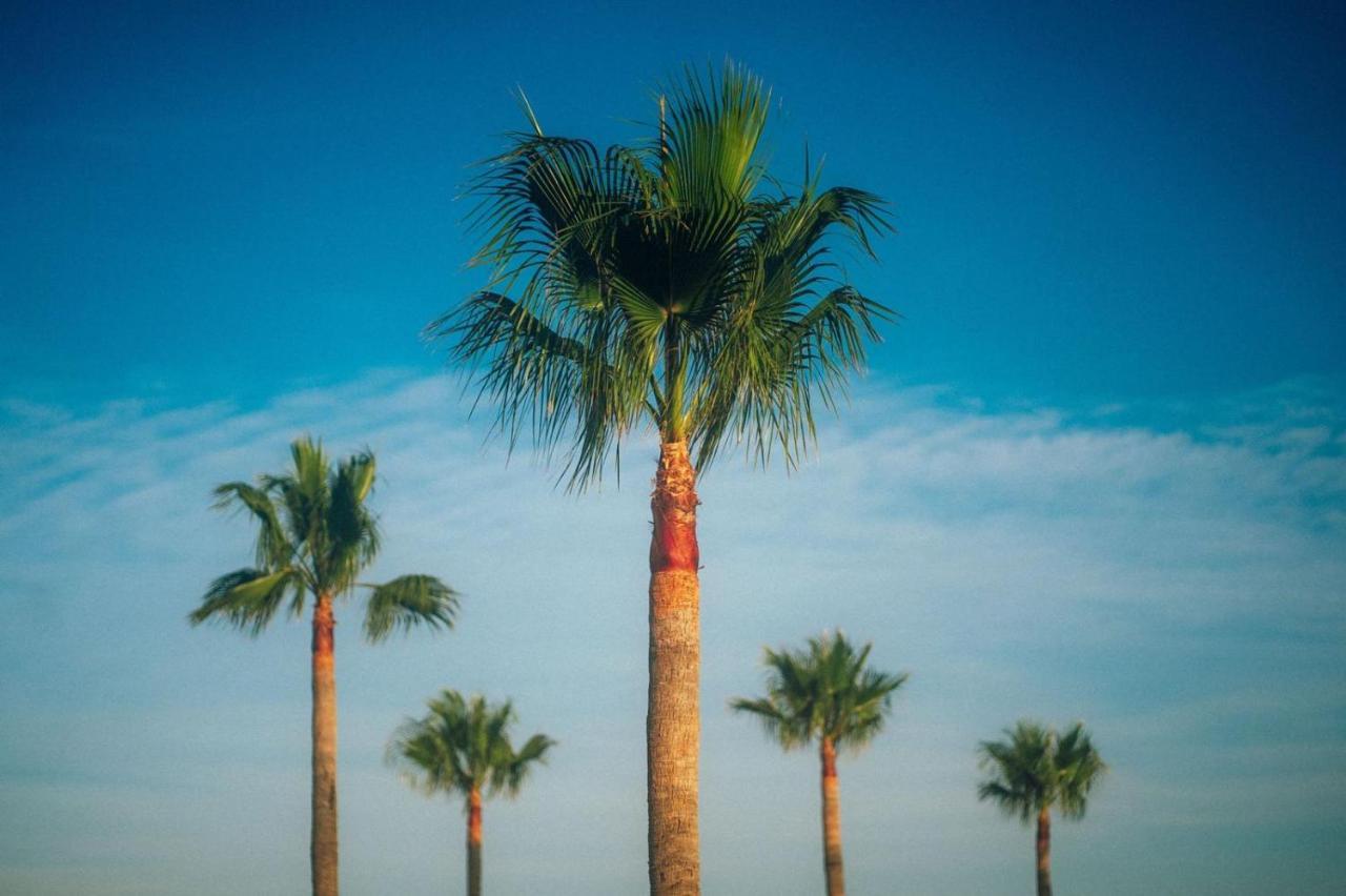 Apartman Marcella, Cumbre Del Sol Exteriér fotografie